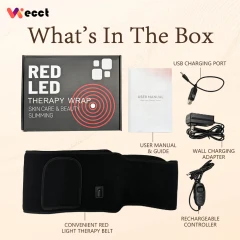 Easy-Use Light Therapy Belt for Waist & Back Image 3